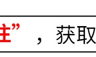 ggbet下载-偷鸡不成蚀把米！以为能“扳倒”薛之谦，自己却先被扒了个底朝天